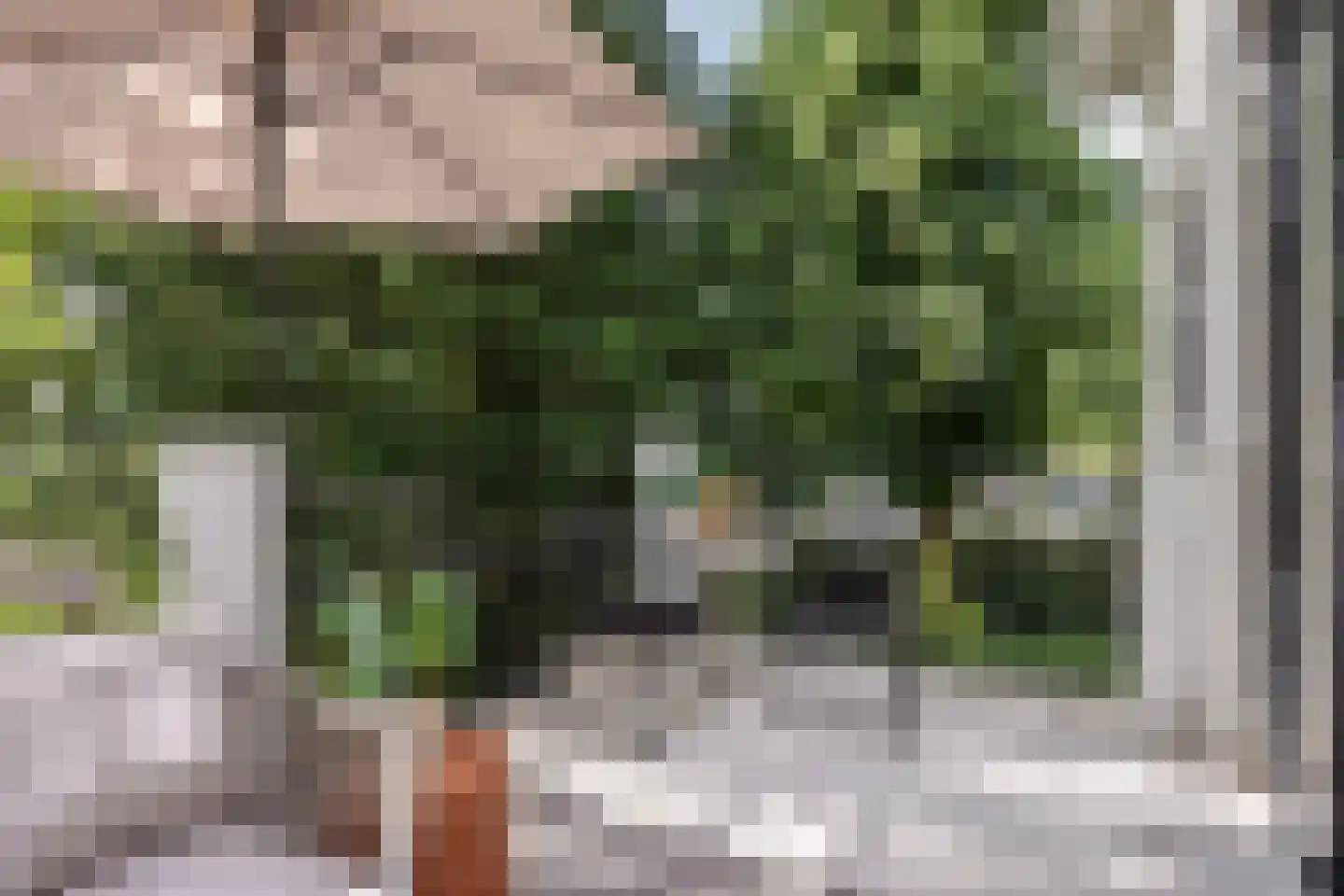 Hoofdstraat 41 13 Epe thumbnail 27
