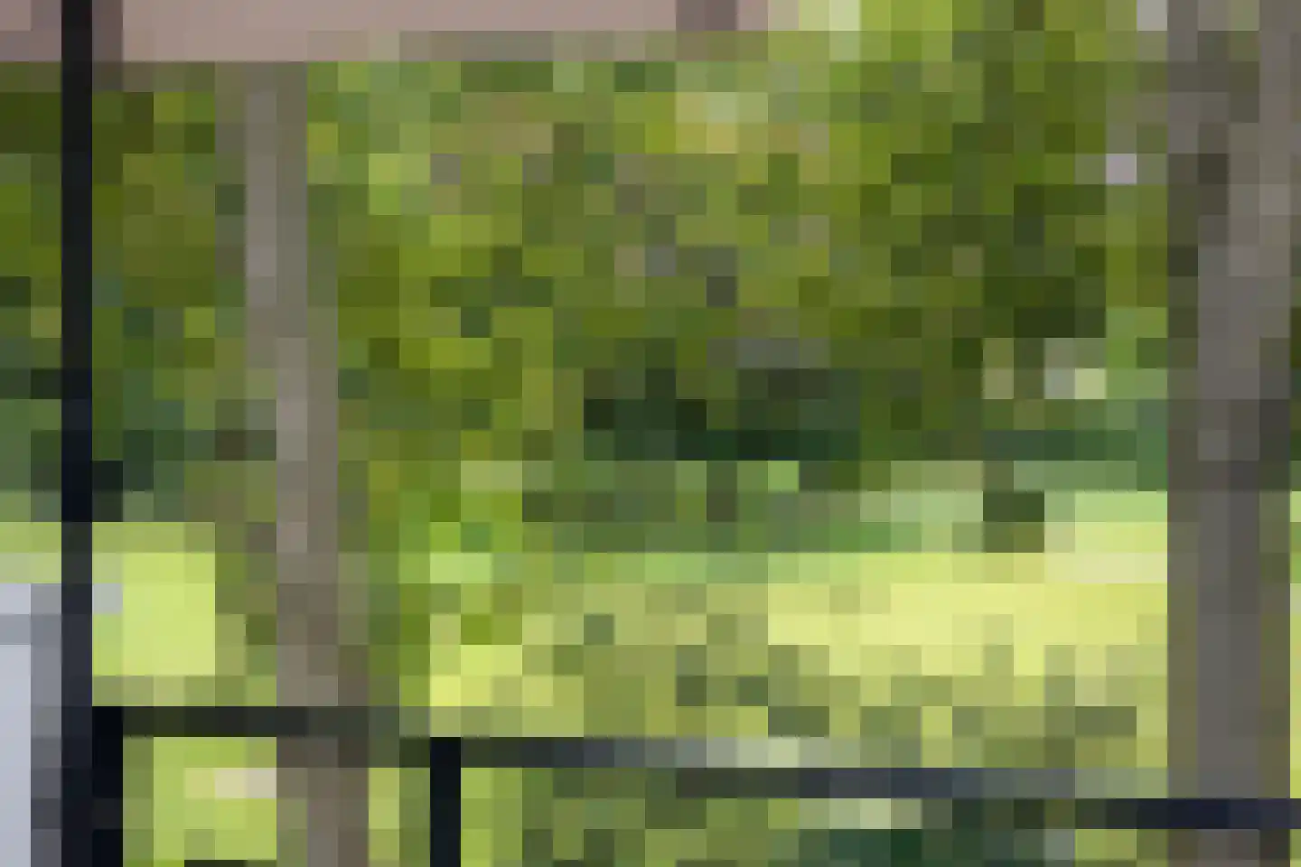 Hoofdstraat 41 13 Epe thumbnail 30