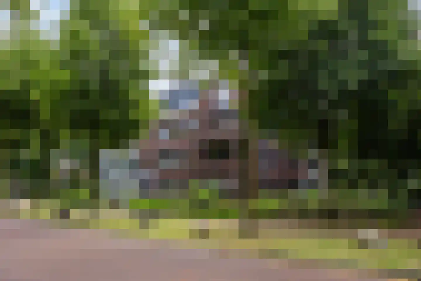 Hoofdstraat 41 13 Epe thumbnail 5