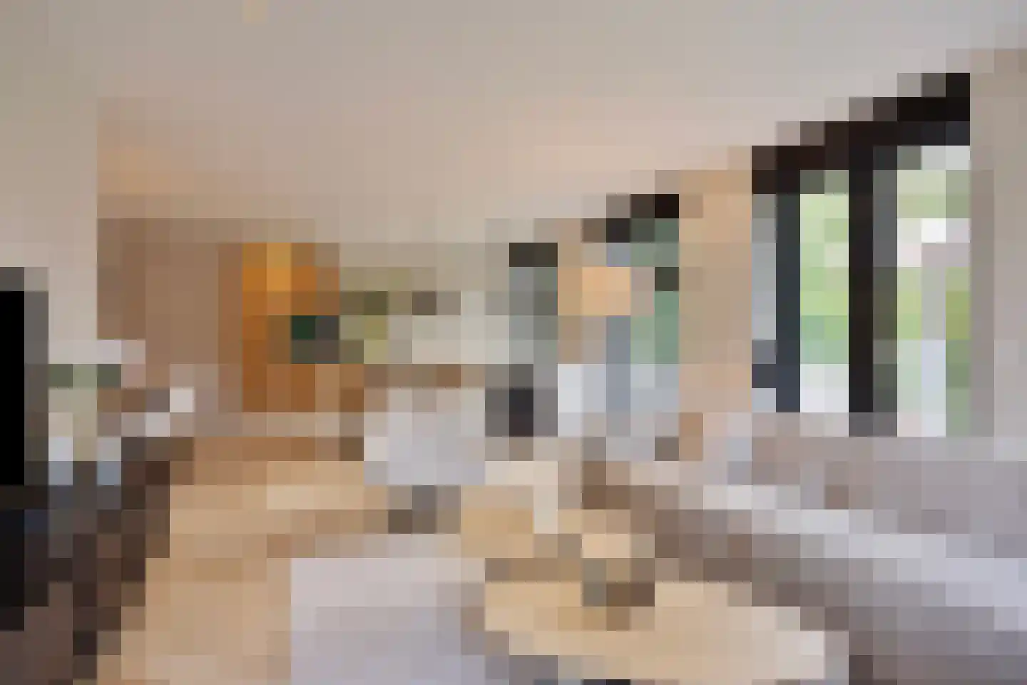 Hoofdstraat 41 13 Epe thumbnail 9