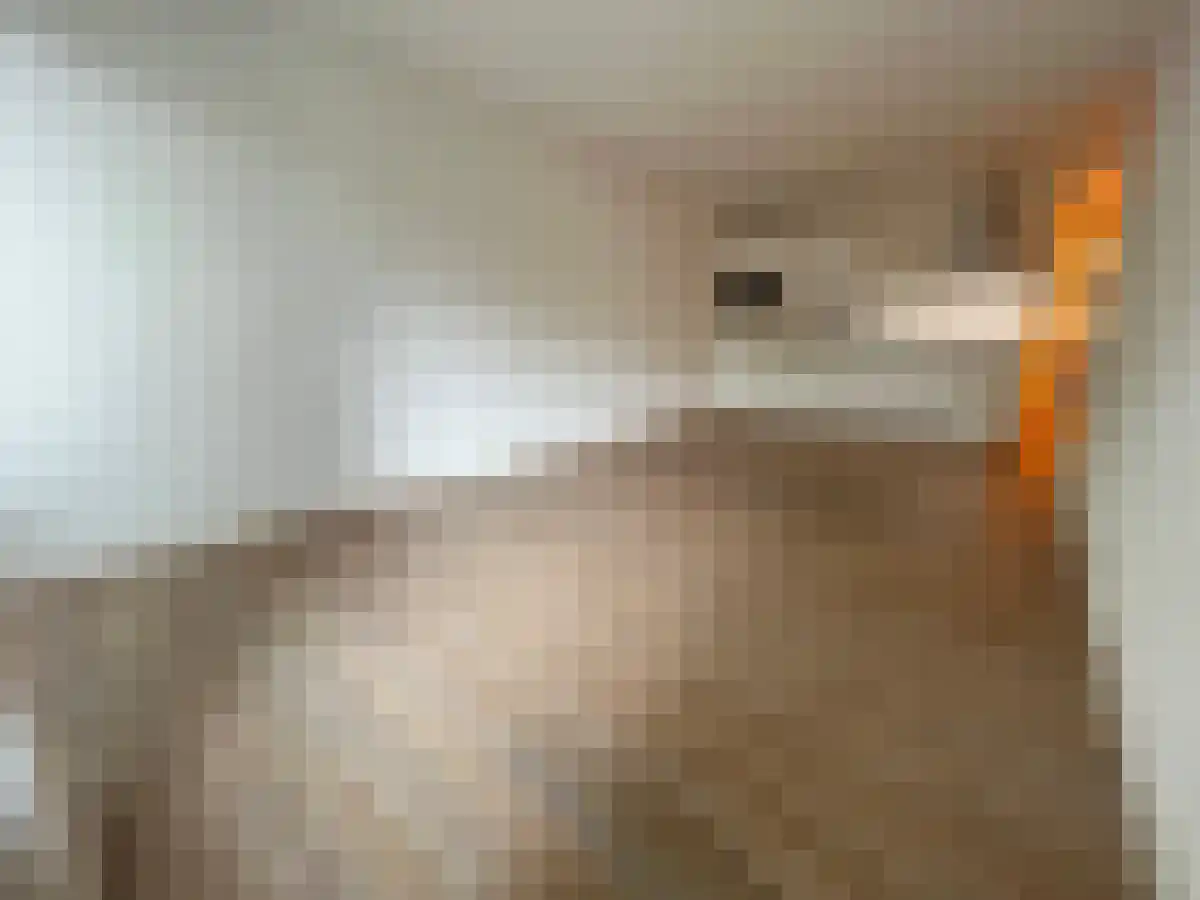 Hoofdstraat 41 Apeldoorn thumbnail 4