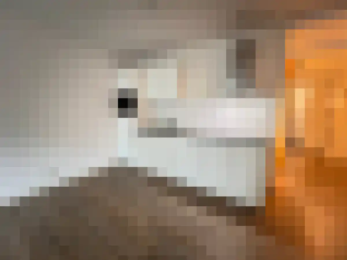 Hoofdstraat 41 Apeldoorn thumbnail 5