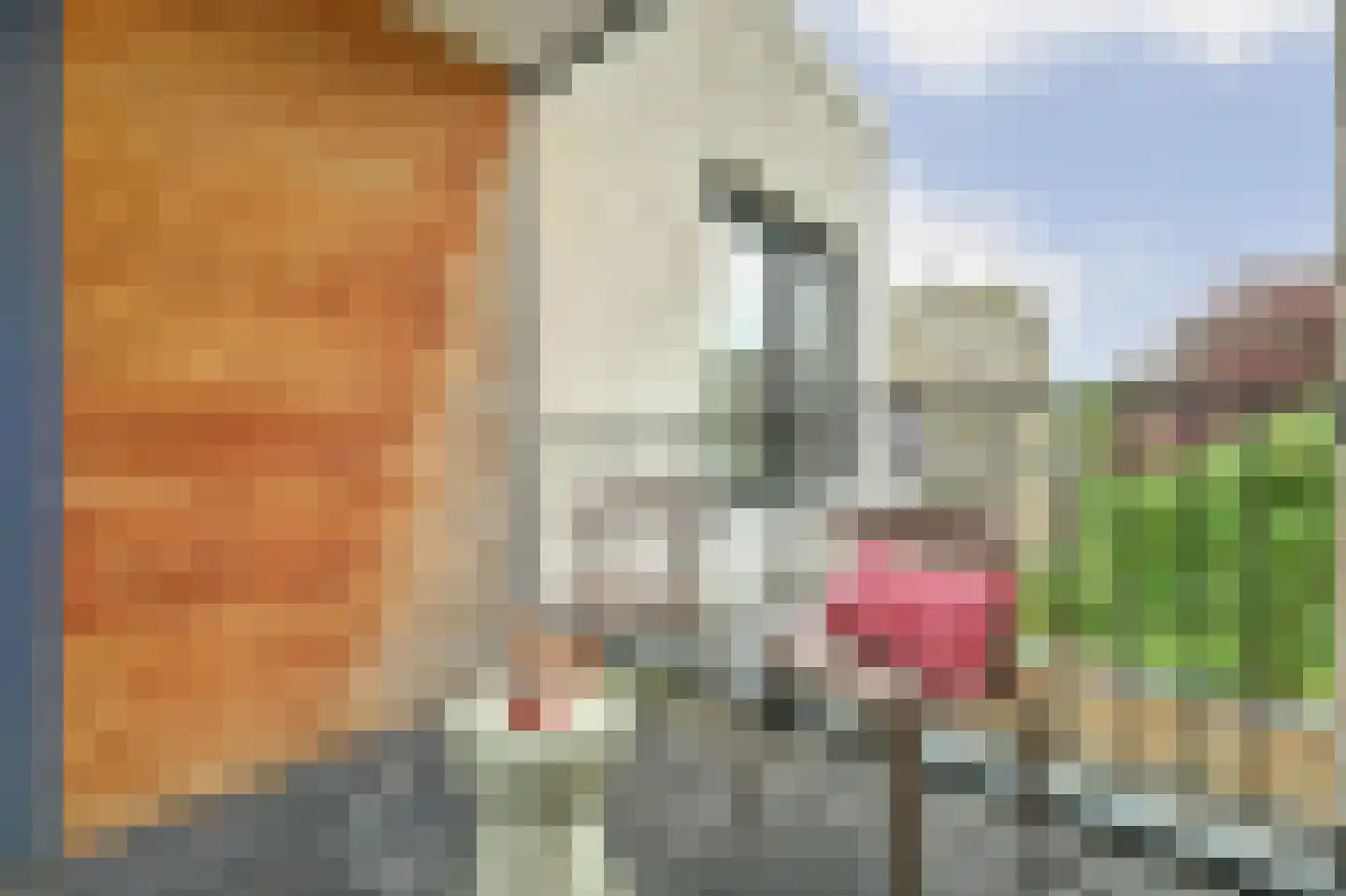 Hoofdstraat 41 e Kortgene thumbnail 20