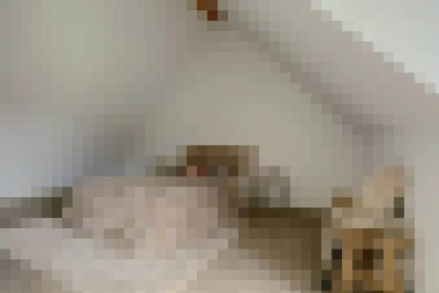 Hoofdstraat 41 e Kortgene thumbnail 22