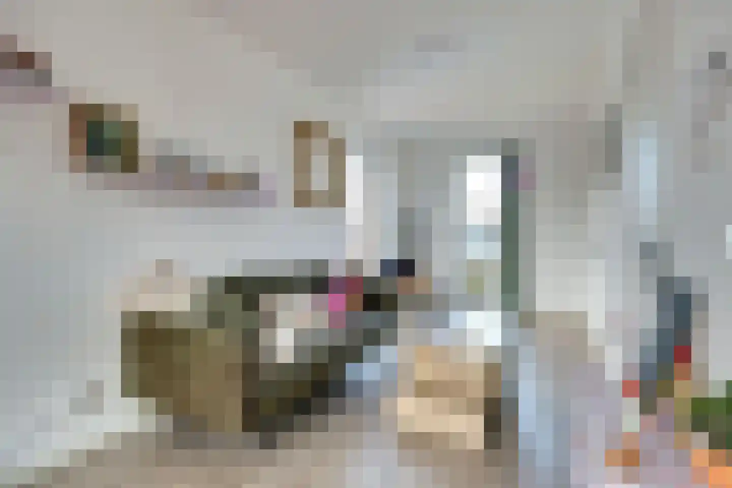 Hoofdstraat 41 f Kortgene thumbnail 10