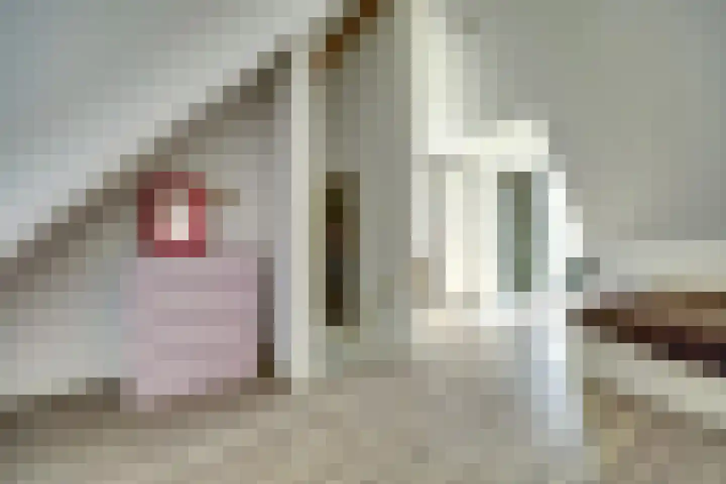 Hoofdstraat 41 f Kortgene thumbnail 19