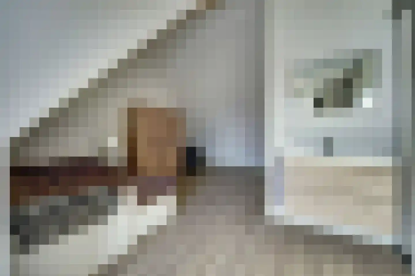 Hoofdstraat 41 f Kortgene thumbnail 21