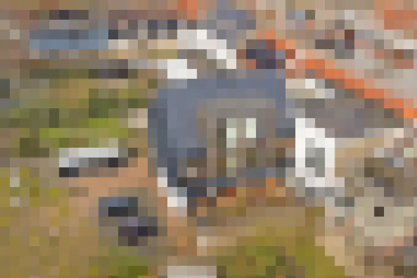 Hoofdstraat 41 f Kortgene thumbnail 39