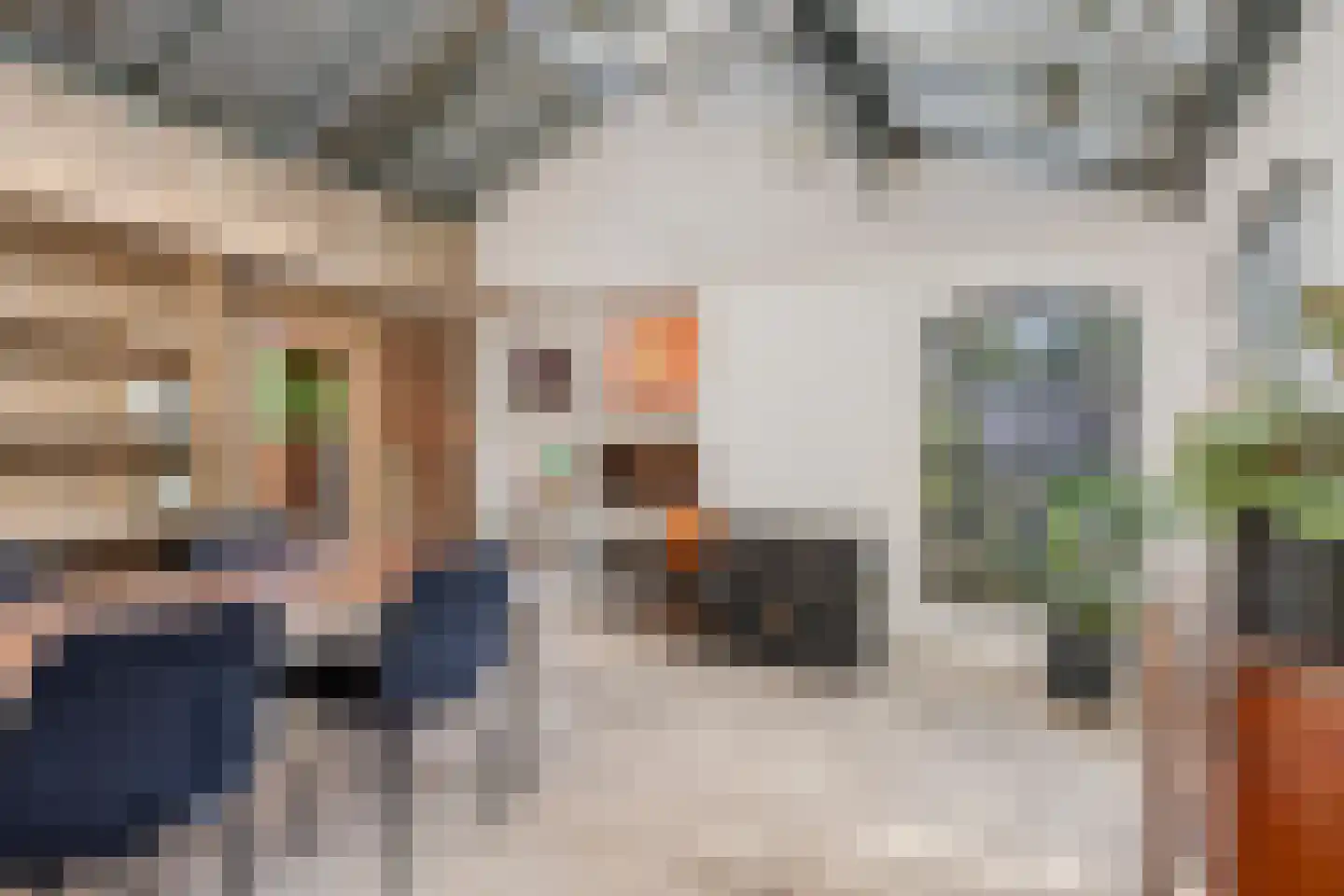 Hoofdstraat 41 's Gravenmoer thumbnail 18