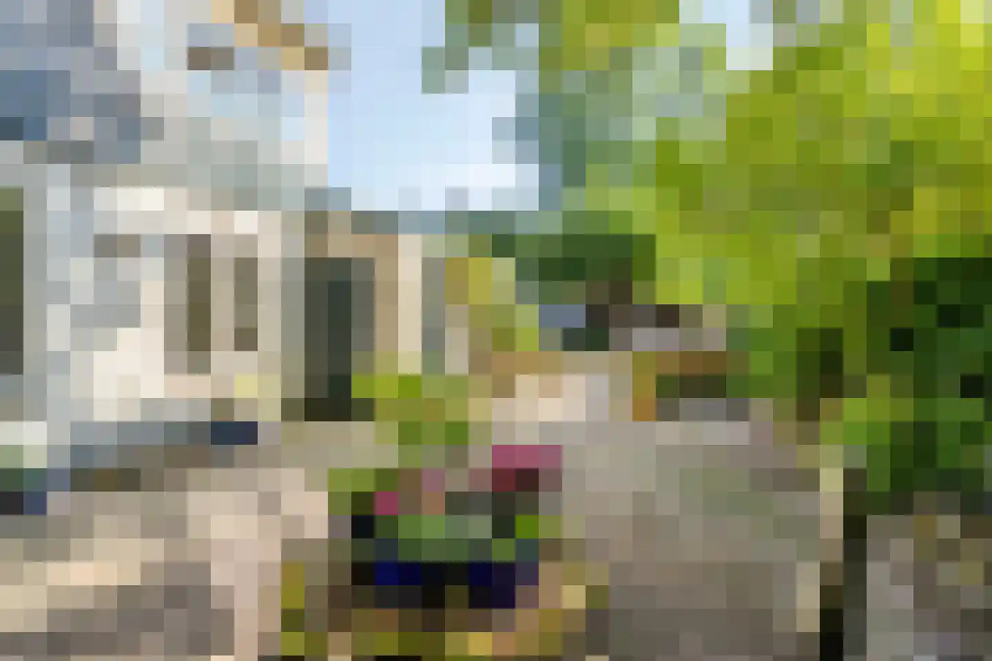 Hoofdstraat 41 's Gravenmoer thumbnail 28