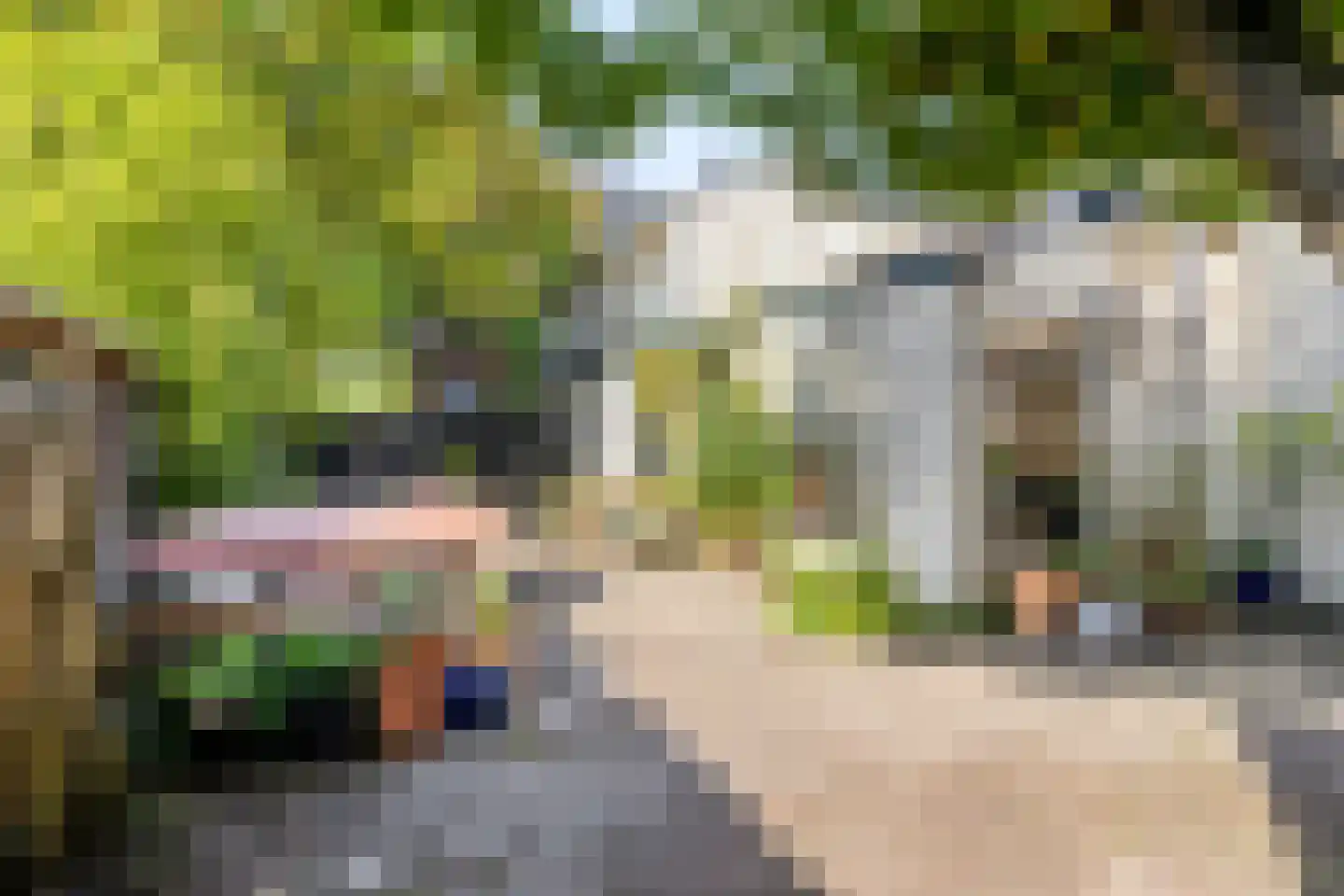 Hoofdstraat 41 's Gravenmoer thumbnail 29