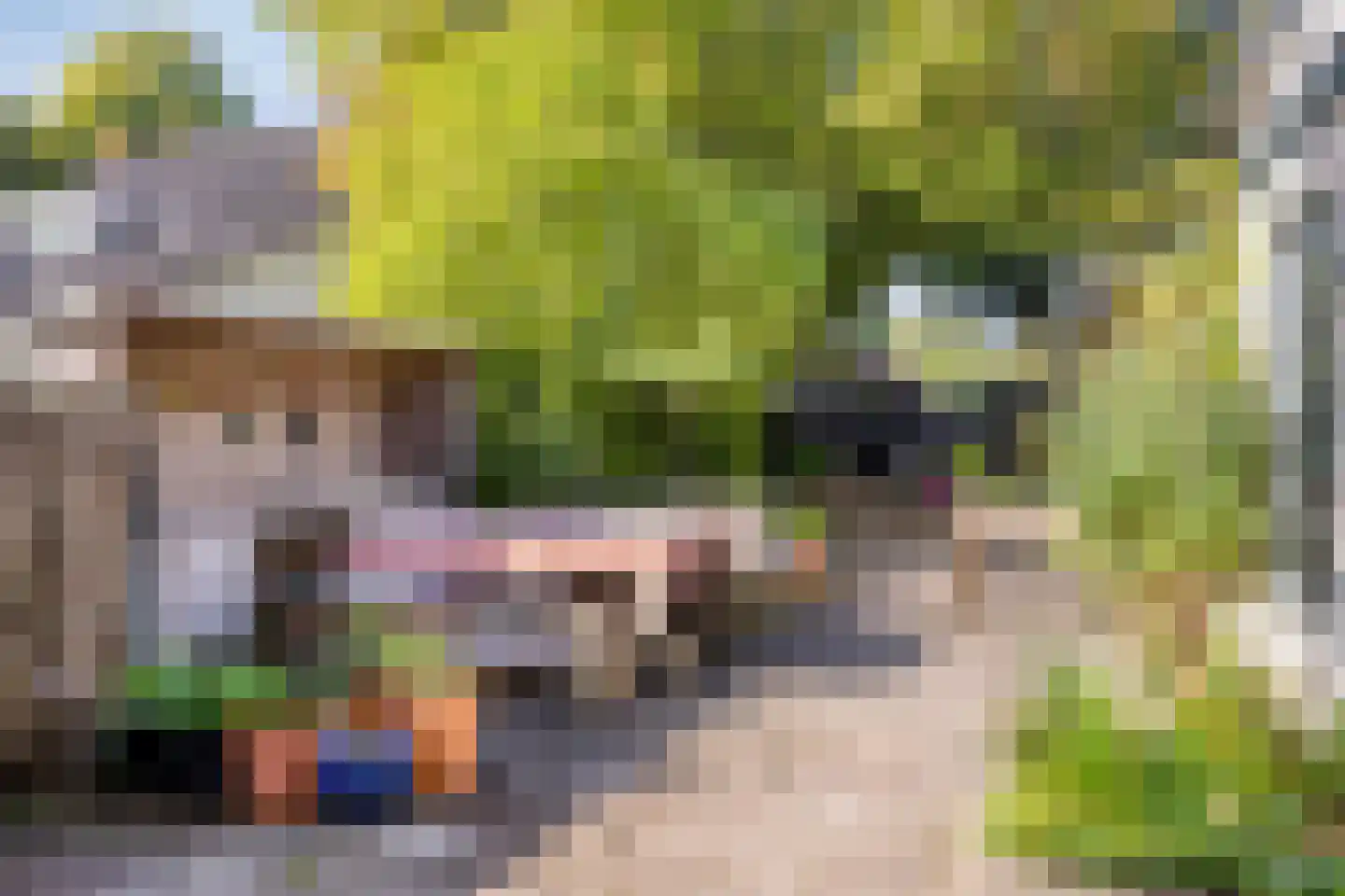 Hoofdstraat 41 's Gravenmoer thumbnail 30