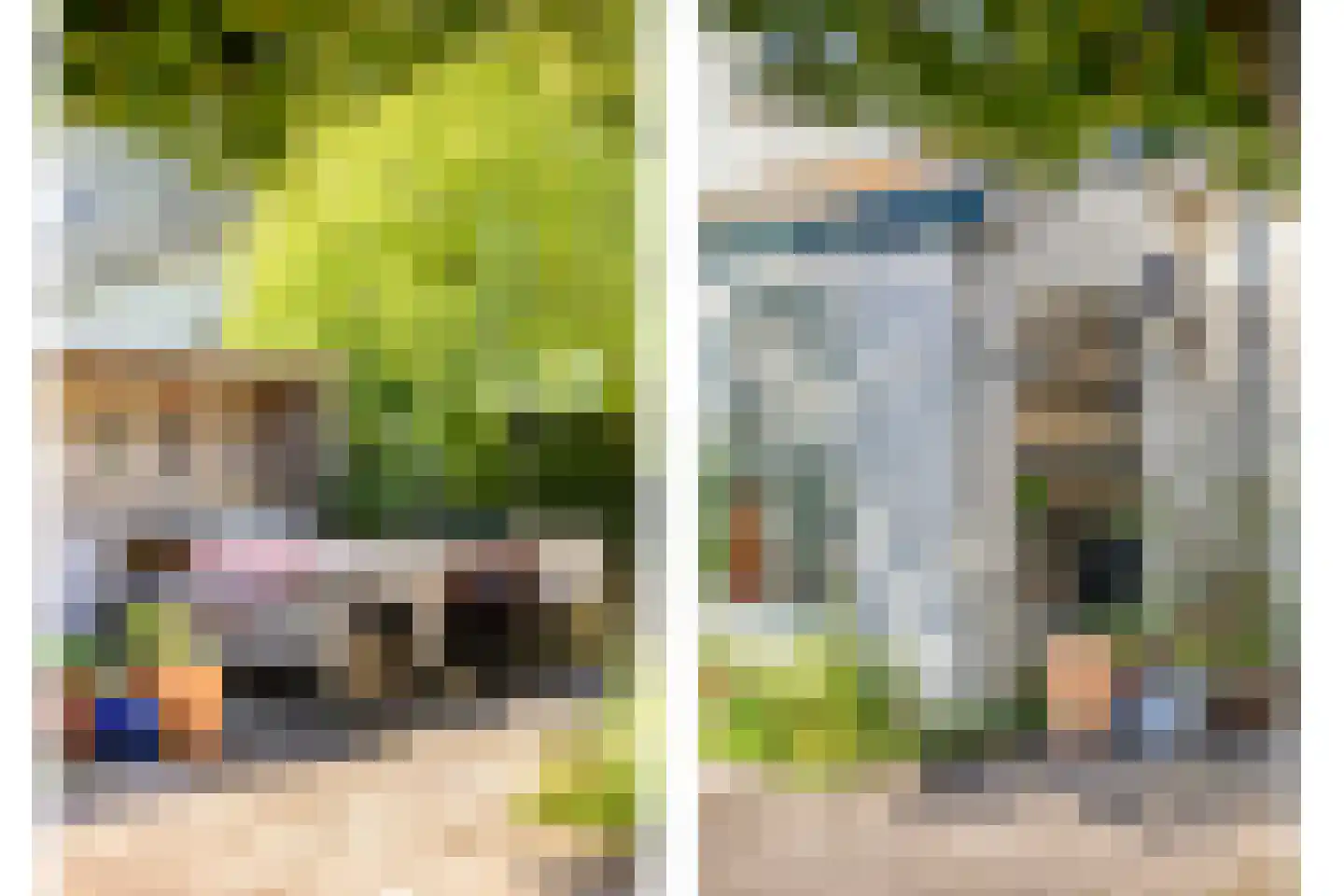 Hoofdstraat 41 's Gravenmoer thumbnail 31