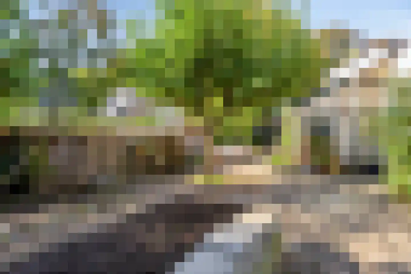 Hoofdstraat 41 's Gravenmoer thumbnail 32