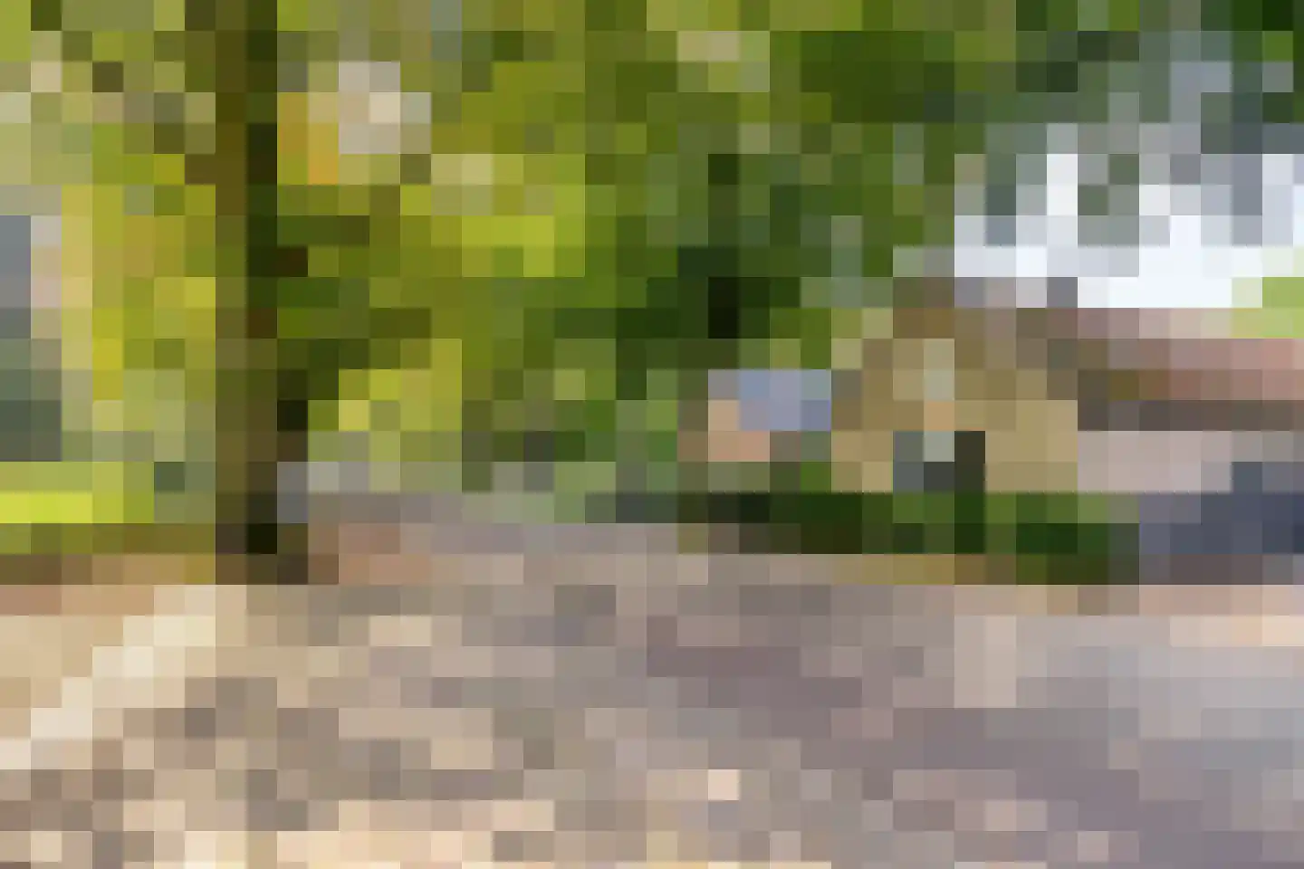 Hoofdstraat 41 's Gravenmoer thumbnail 34