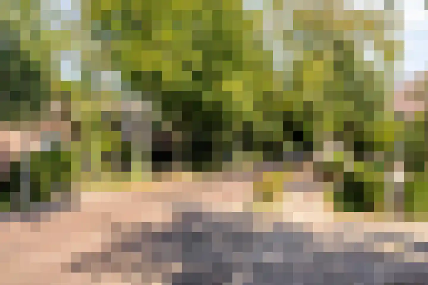 Hoofdstraat 41 's Gravenmoer thumbnail 35