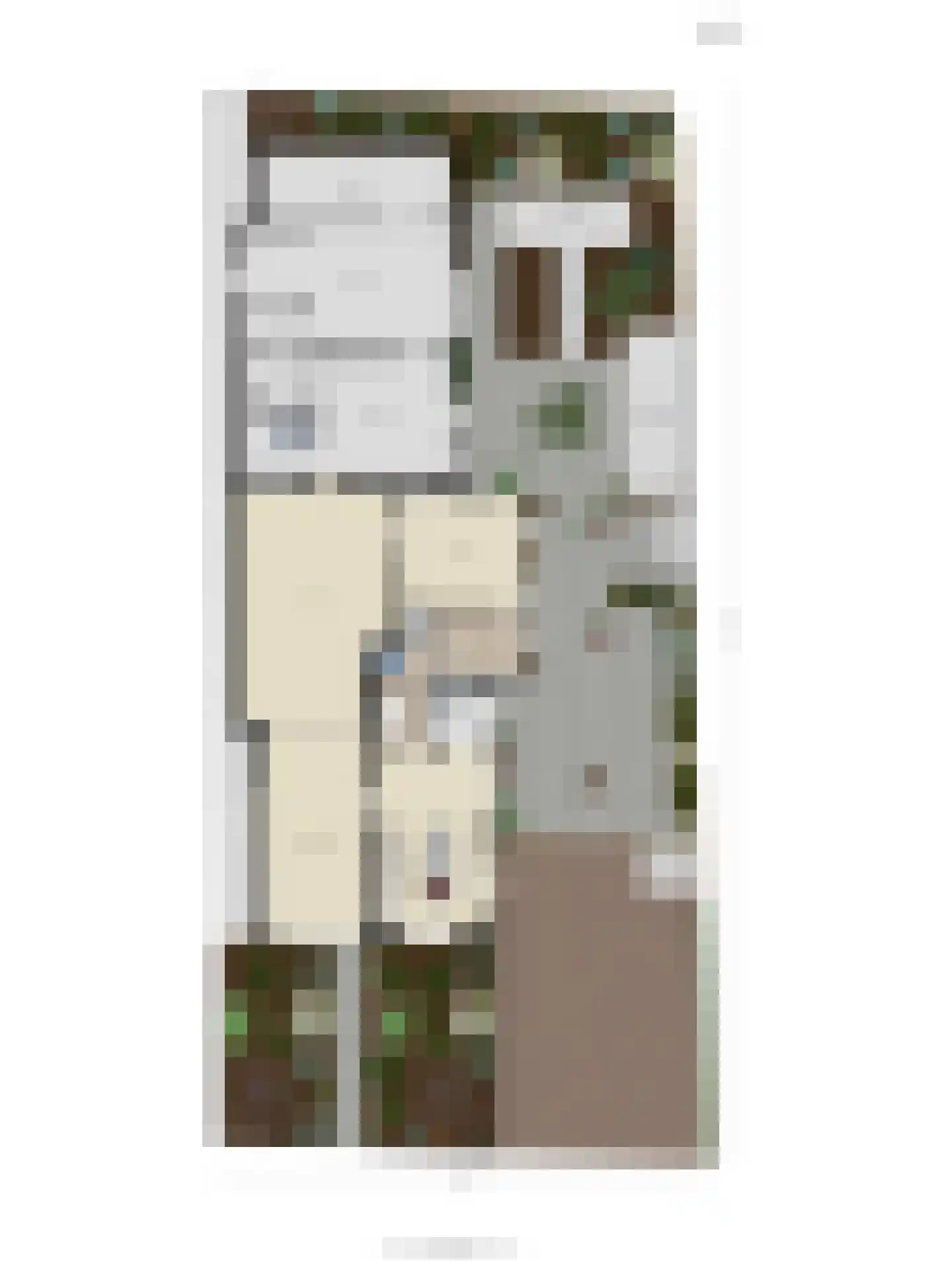 Hoofdstraat 41 's Gravenmoer thumbnail 36