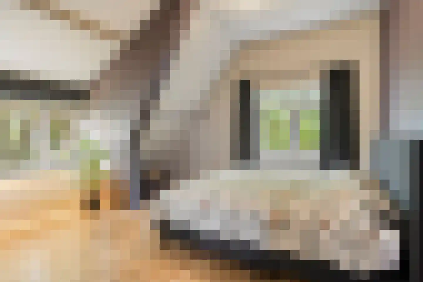 Hoofdstraat 41 's Gravenmoer thumbnail 5