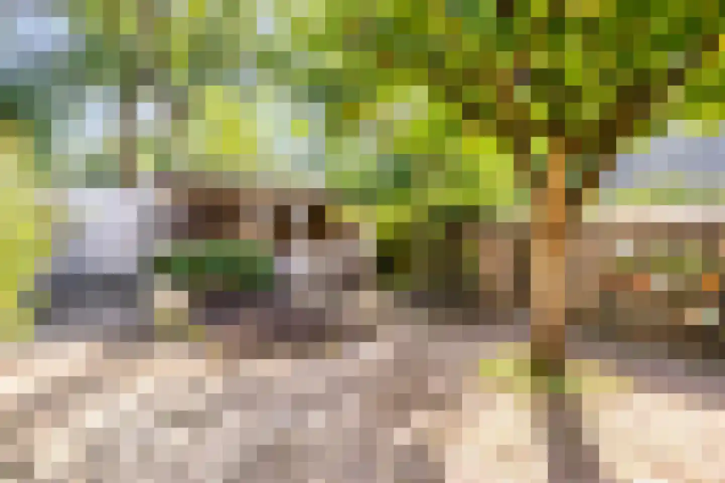 Hoofdstraat 41 's Gravenmoer thumbnail 7