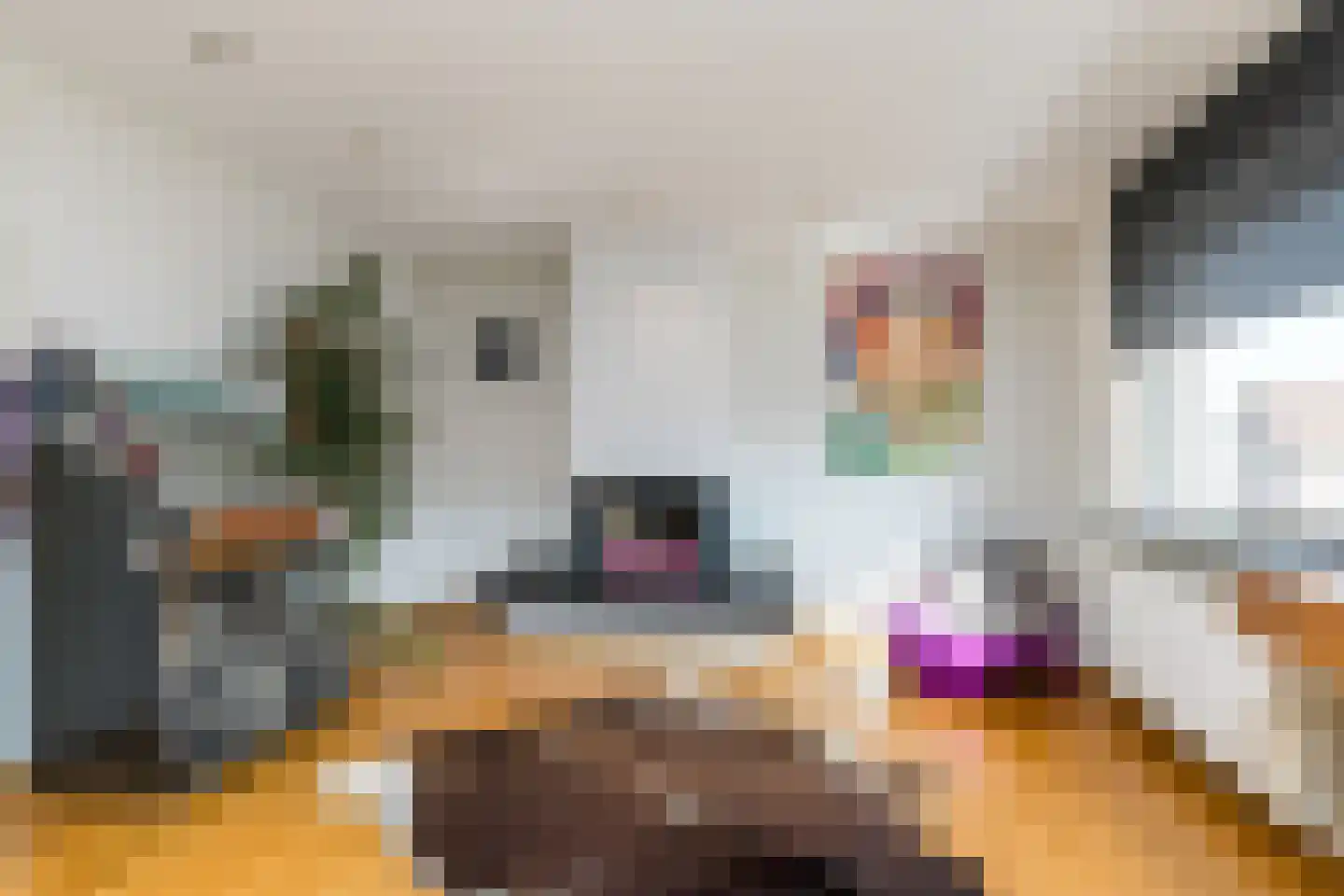 Hoofdstraat 41 Schimmert thumbnail 15