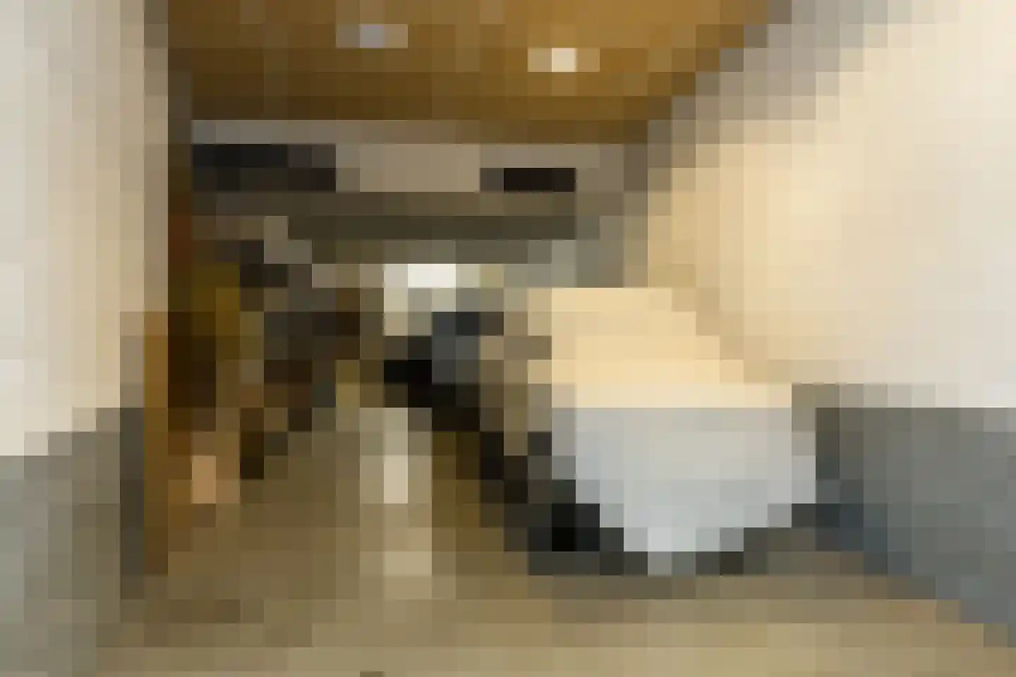Hoofdstraat 41 Schimmert thumbnail 9