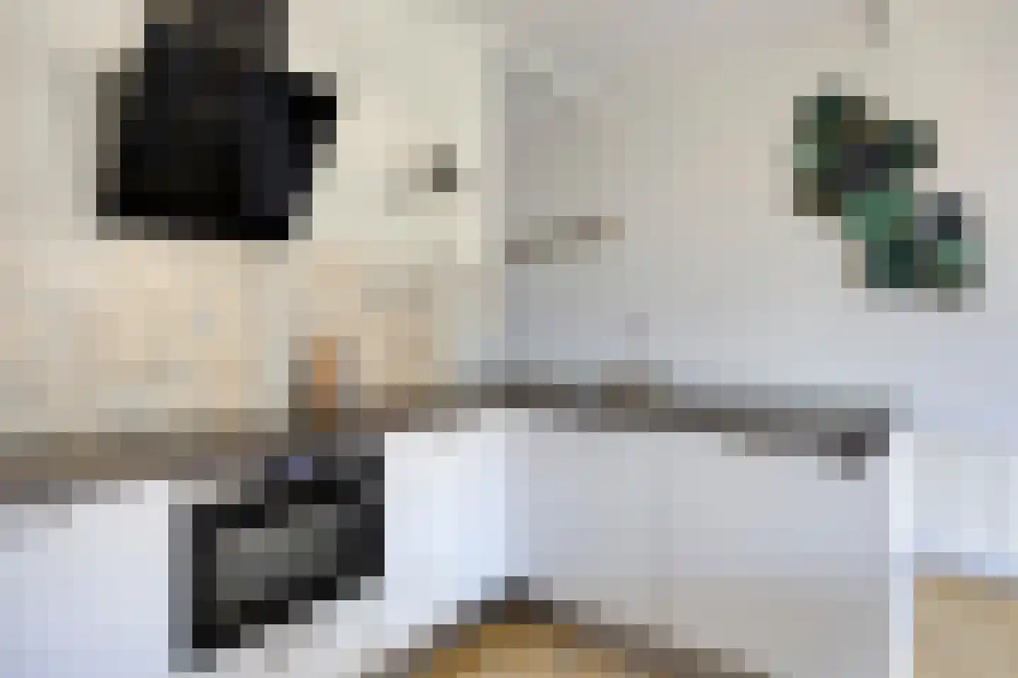 Hoofdstraat 43 B Diever thumbnail 10