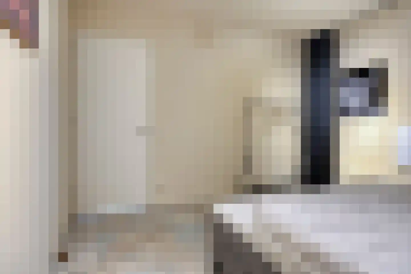 Hoofdstraat 43 B Diever thumbnail 14
