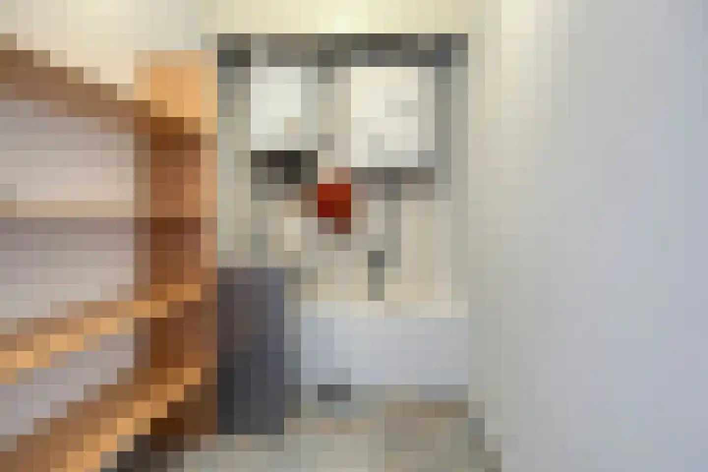 Hoofdstraat 43 B Diever thumbnail 17