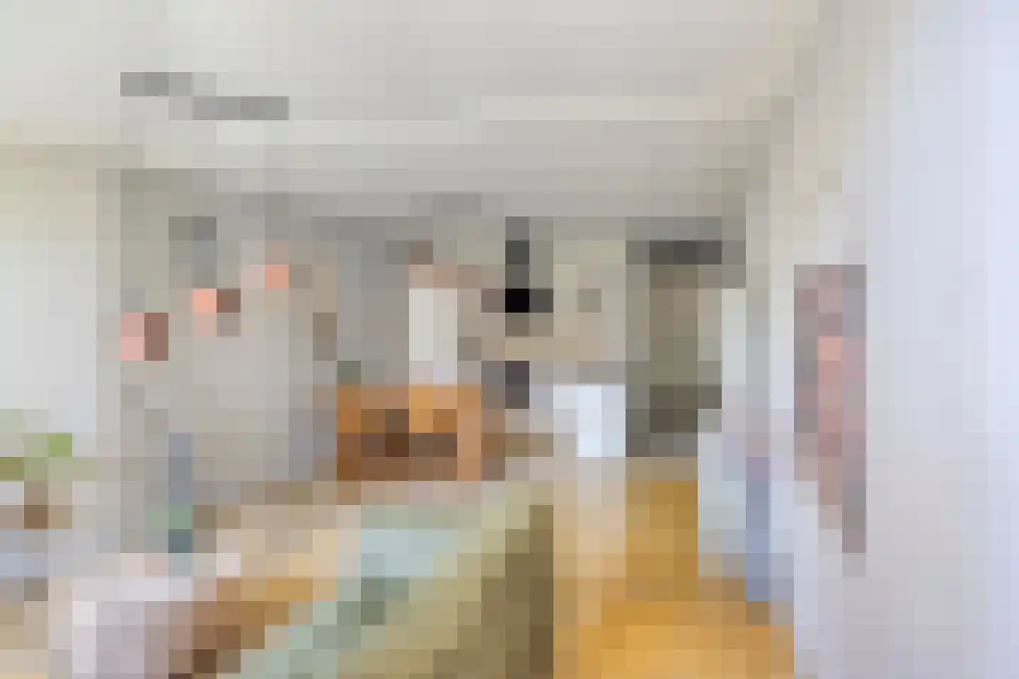 Hoofdstraat 43 B Diever thumbnail 4