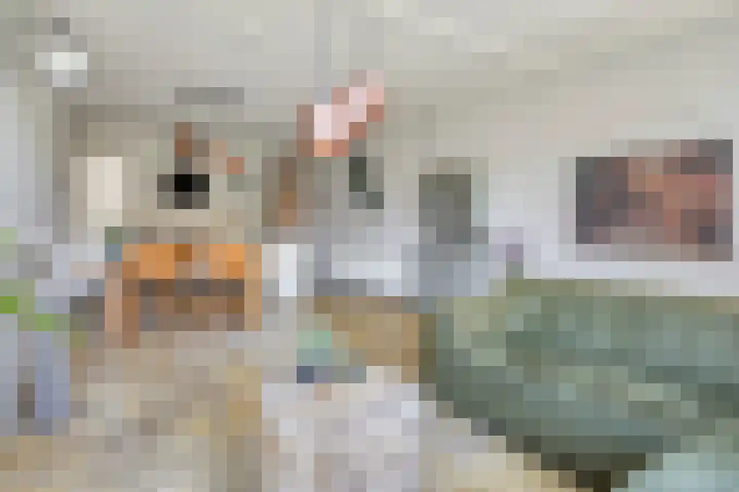 Hoofdstraat 43 B Diever thumbnail 5