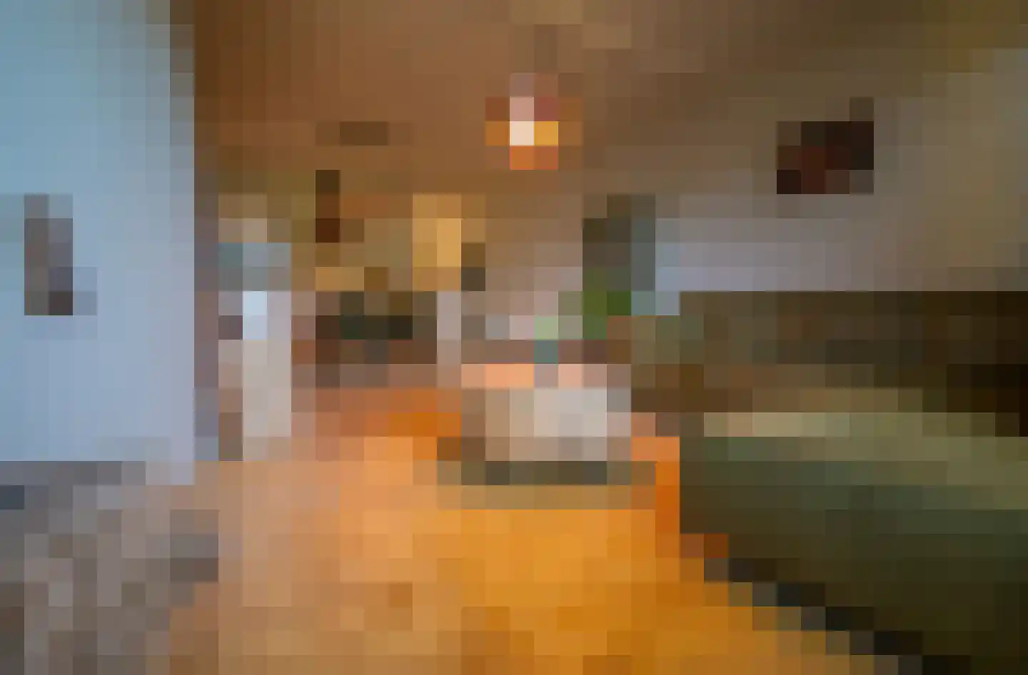 Hoofdstraat 43 B Diever thumbnail 7