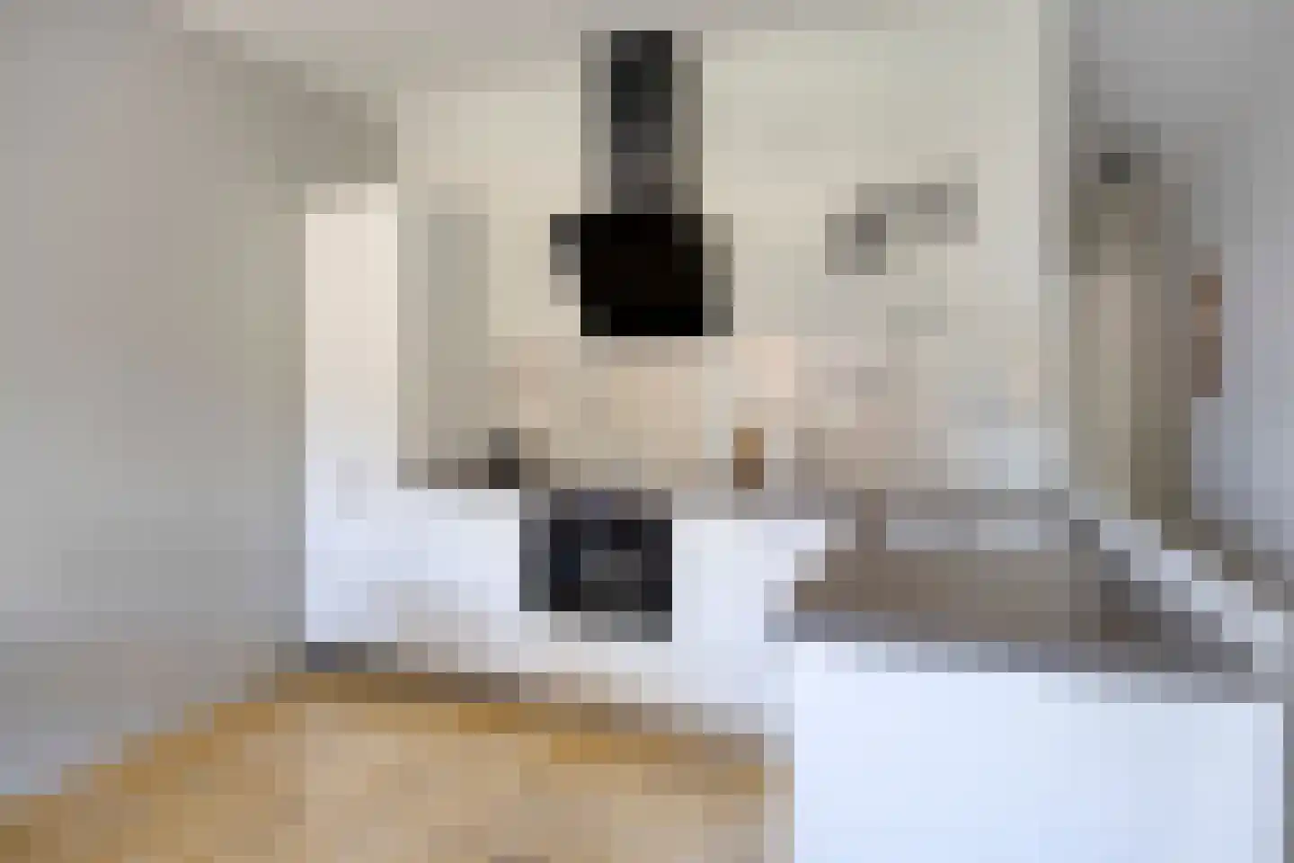 Hoofdstraat 43 B Diever thumbnail 9