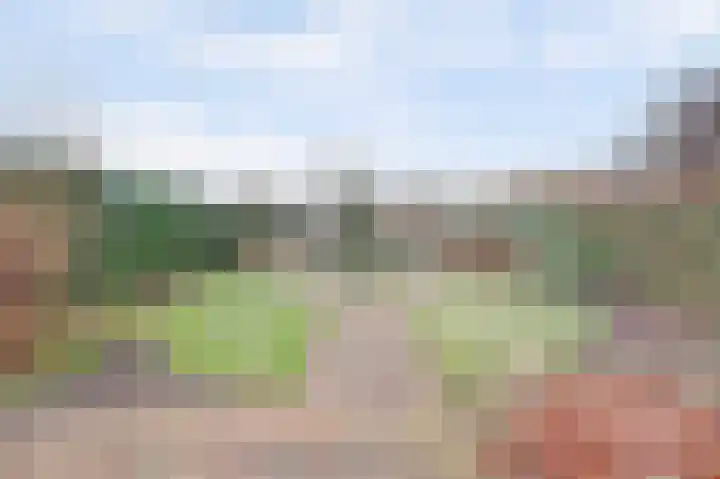 Hoofdstraat 43 d Genderen thumbnail 33