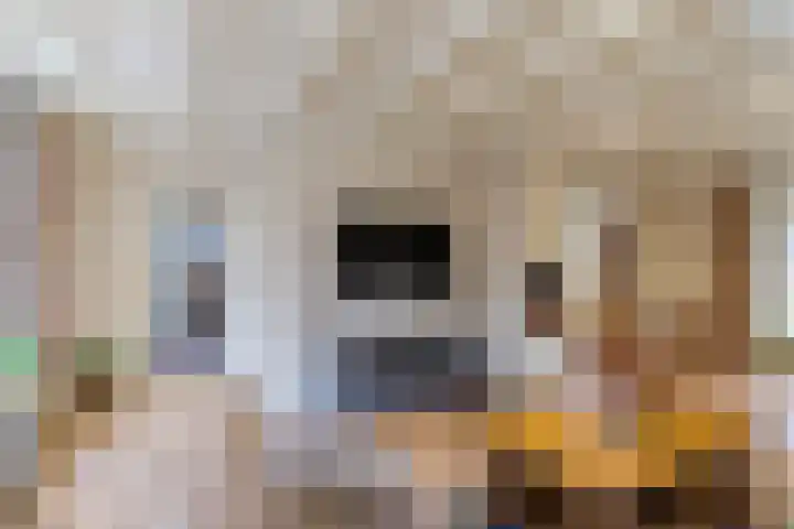 Hoofdstraat 44 Hoogeloon thumbnail 11