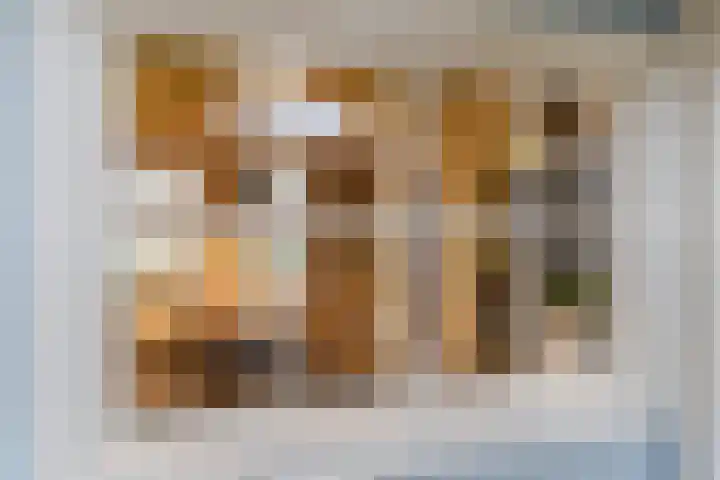 Hoofdstraat 44 Hoogeloon thumbnail 23