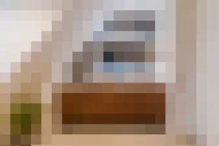 Hoofdstraat 44 Hoogeloon thumbnail 33