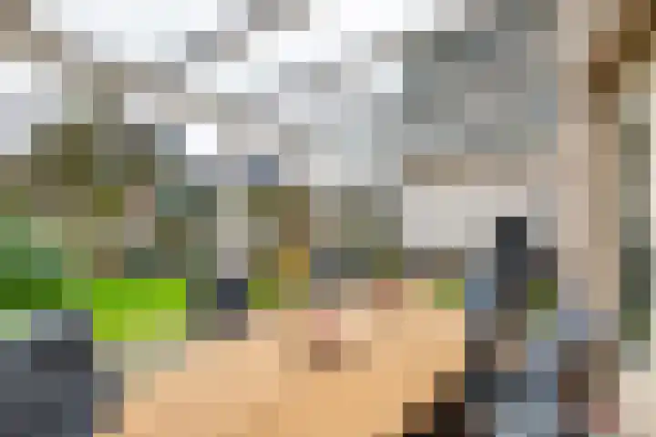 Hoofdstraat 44 Hoogeloon thumbnail 34