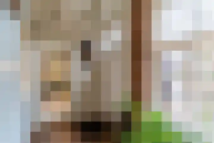 Hoofdstraat 44 Hoogeloon thumbnail 4