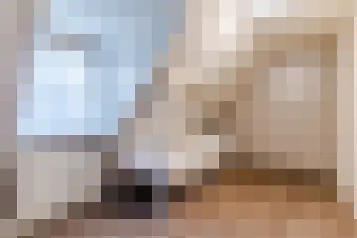Hoofdstraat 44 Hoogeloon thumbnail 41