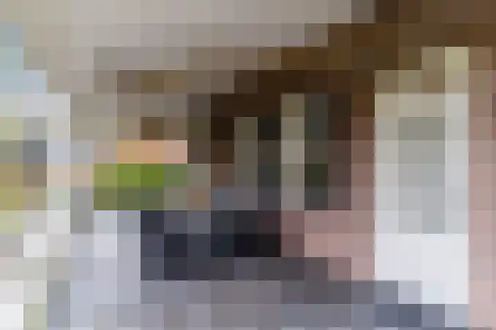 Hoofdstraat 44 Hoogeloon thumbnail 47