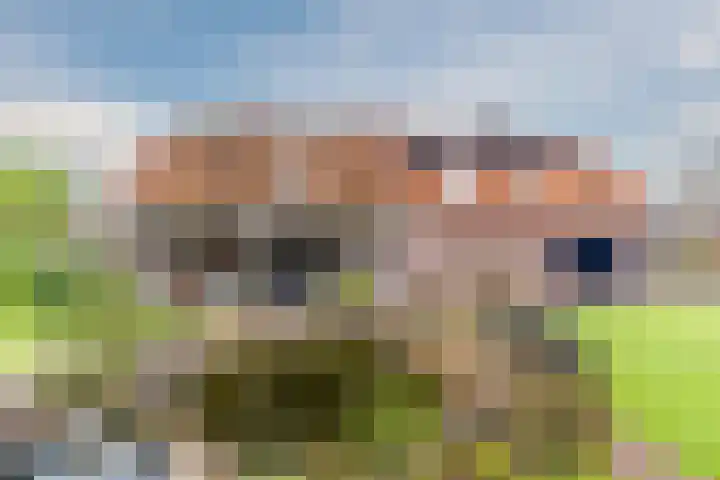 Hoofdstraat 44 Hoogeloon thumbnail 54