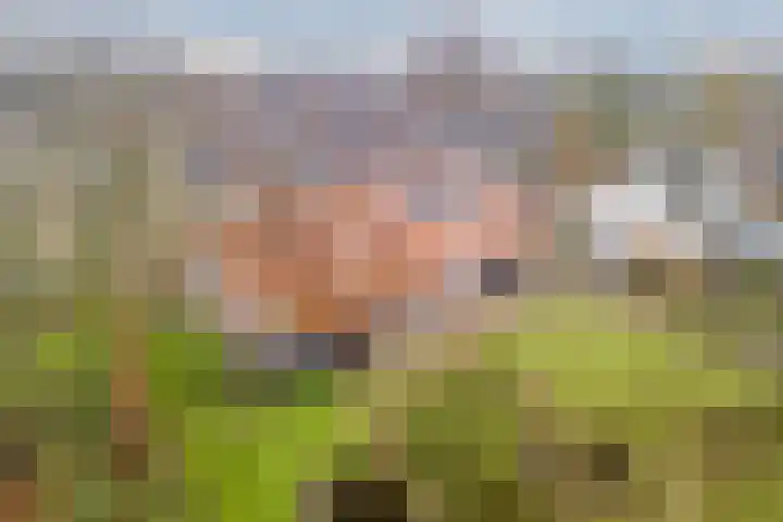 Hoofdstraat 44 Hoogeloon thumbnail 59