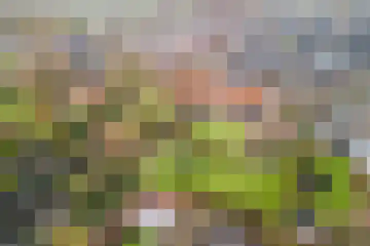 Hoofdstraat 44 Hoogeloon thumbnail 63