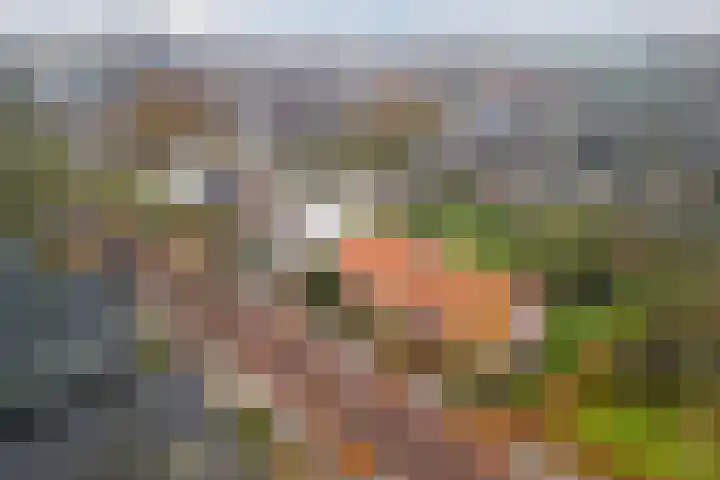 Hoofdstraat 44 Hoogeloon thumbnail 68
