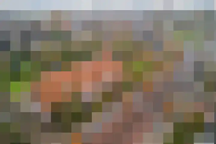 Hoofdstraat 44 Hoogeloon thumbnail 69
