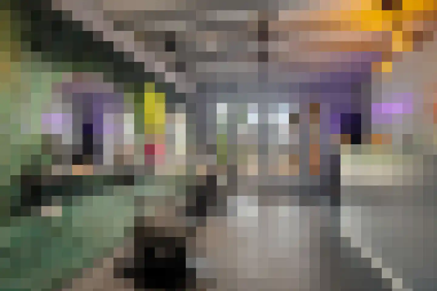 Hoofdstraat 44 Valthe thumbnail 24