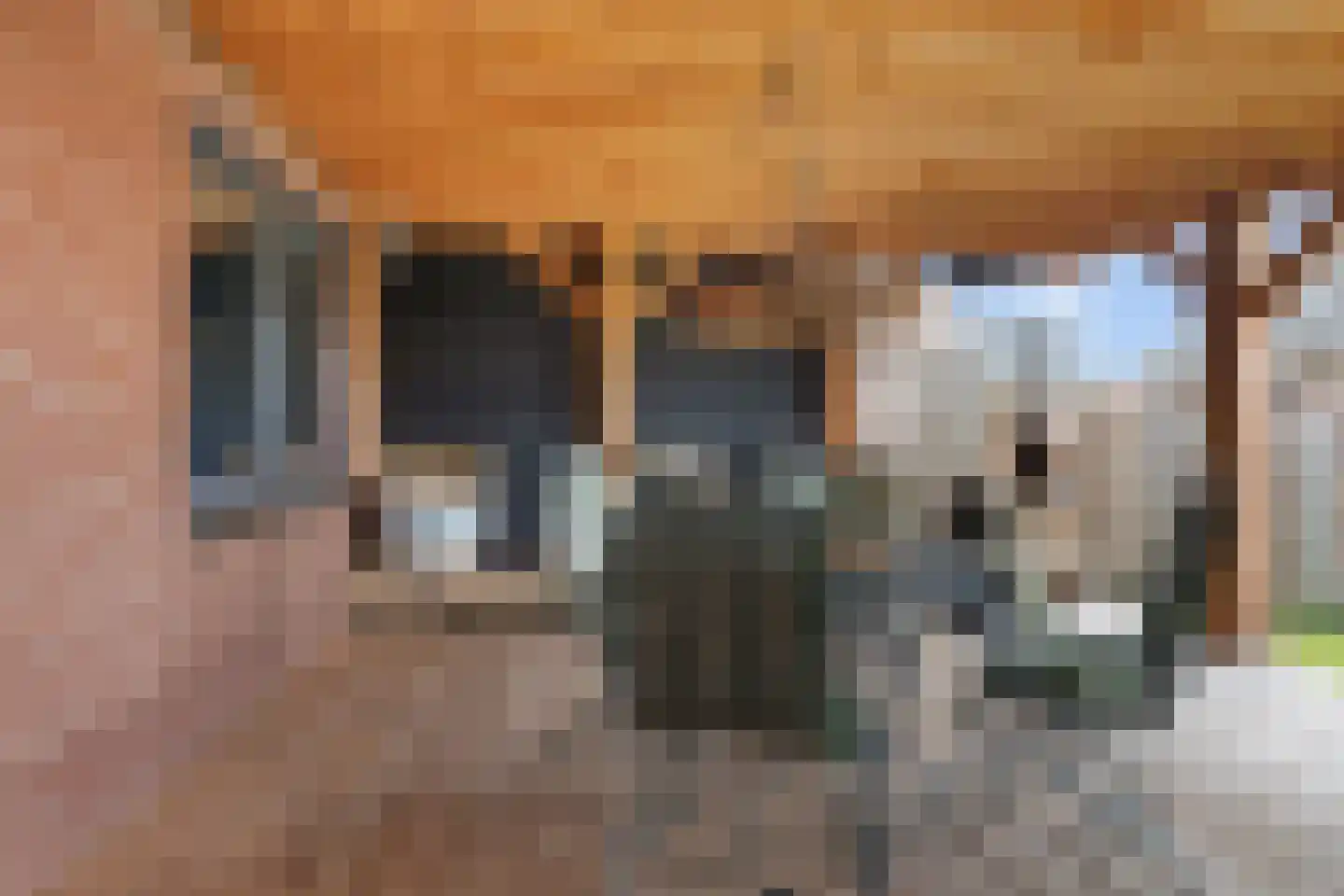 Hoofdstraat 44 Valthe thumbnail 34