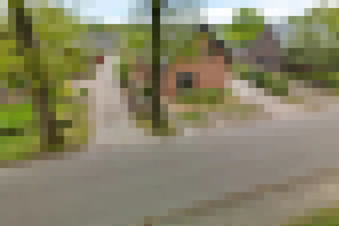 Hoofdstraat 44 Valthe thumbnail 51