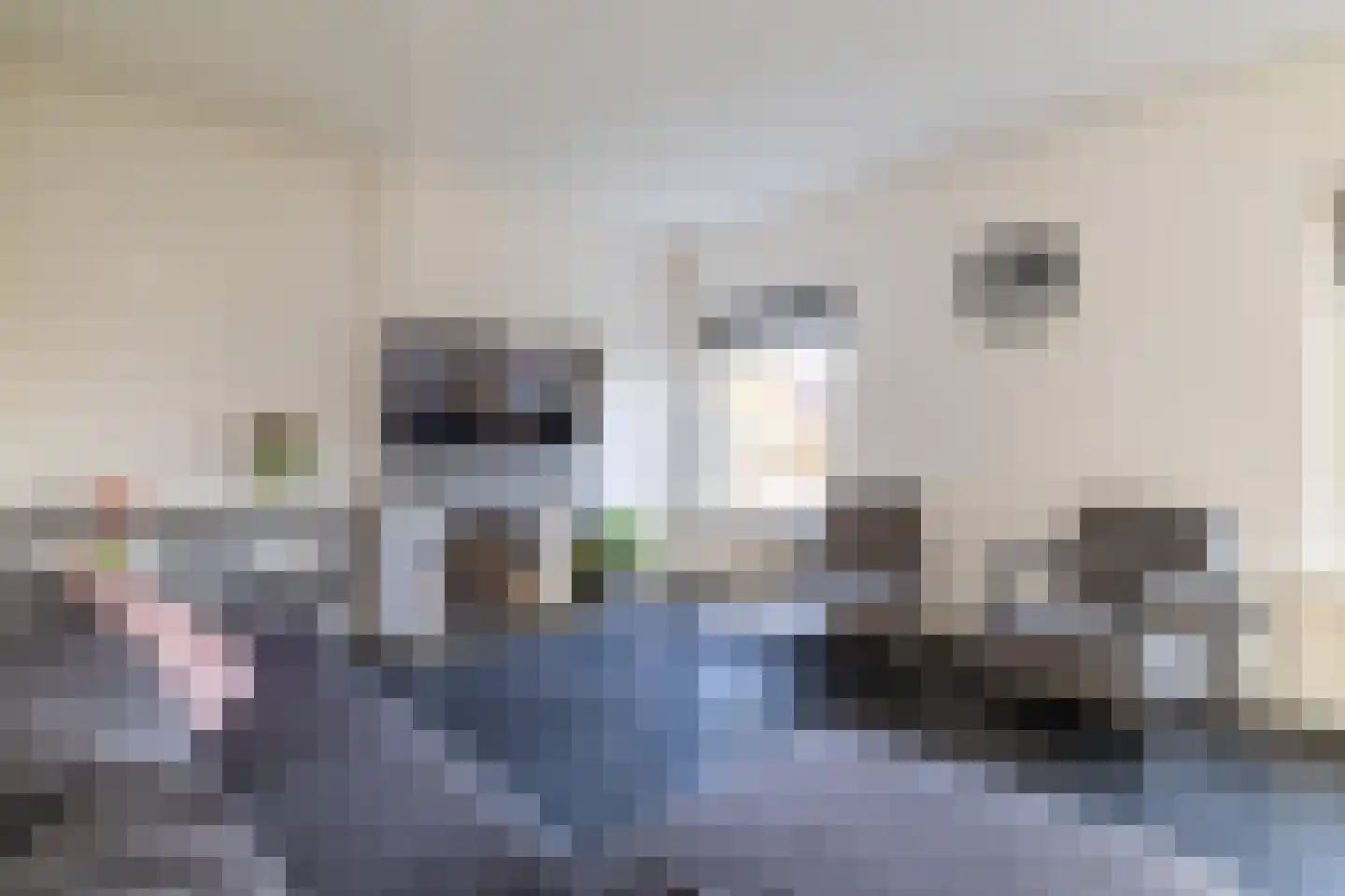 Hoofdstraat 44 Vroomshoop thumbnail 10