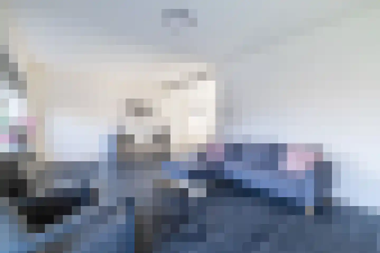 Hoofdstraat 44 Vroomshoop thumbnail 11